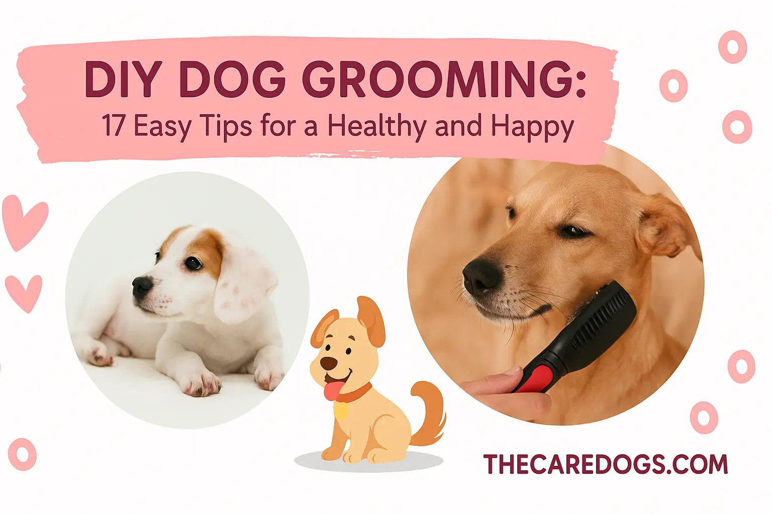 DIY Dog Grooming
