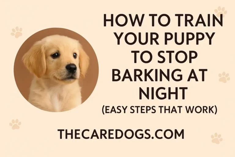 How to Train Your Puppy to Stop Barking at Night